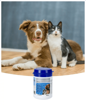 Orozyme_Bucco-Fresh_Dental_Croq