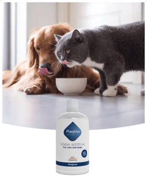Plaqtiv_Water_Additive