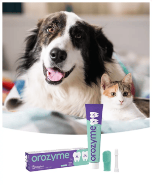 orozyme_gel